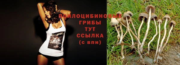 герыч Белоозёрский