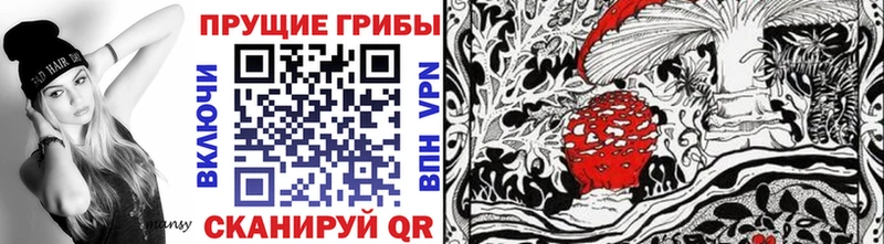 Псилоцибиновые грибы Psilocybe Костерёво